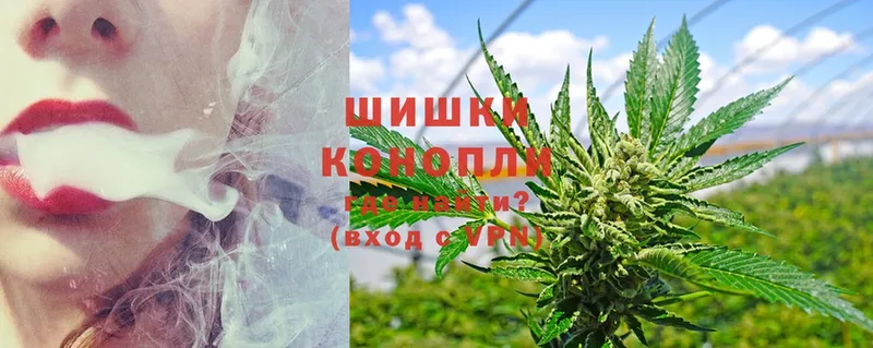 Шишки марихуана Ganja  магазин продажи наркотиков  Цоци-Юрт 